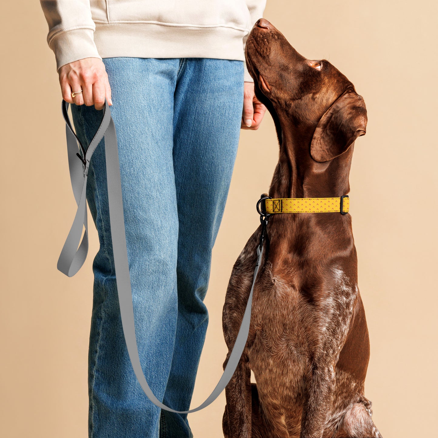 Firestarter Pet Collar