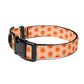 Sunshiny Day Pet Collar